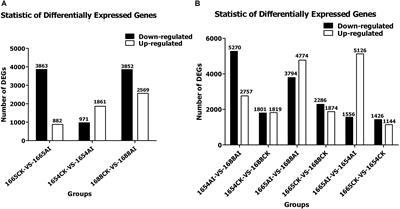 Comparative Transcriptome Analysis Between Resistant and Susceptible Rice Cultivars Responding to Striped Stem Borer (SSB), Chilo suppressalis (Walker) Infestation